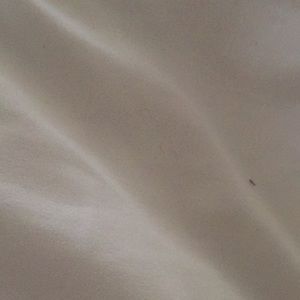 Meet your Posher, Barry